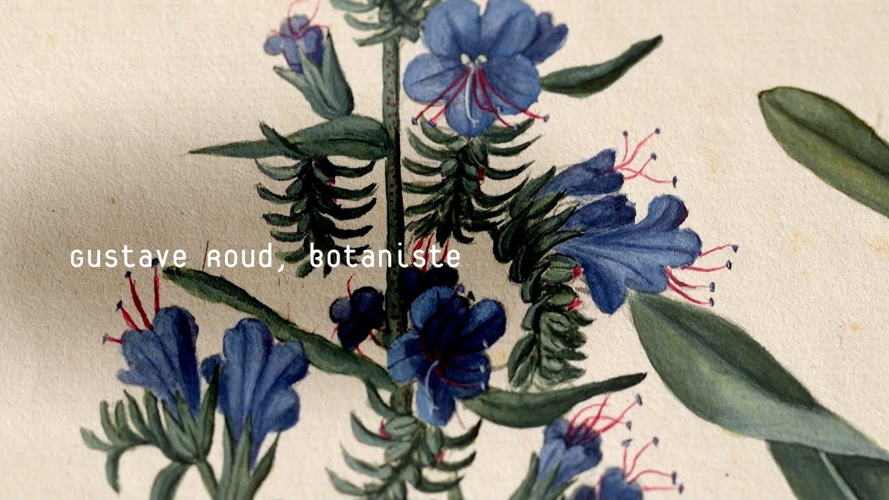 Gustave Roud, botaniste