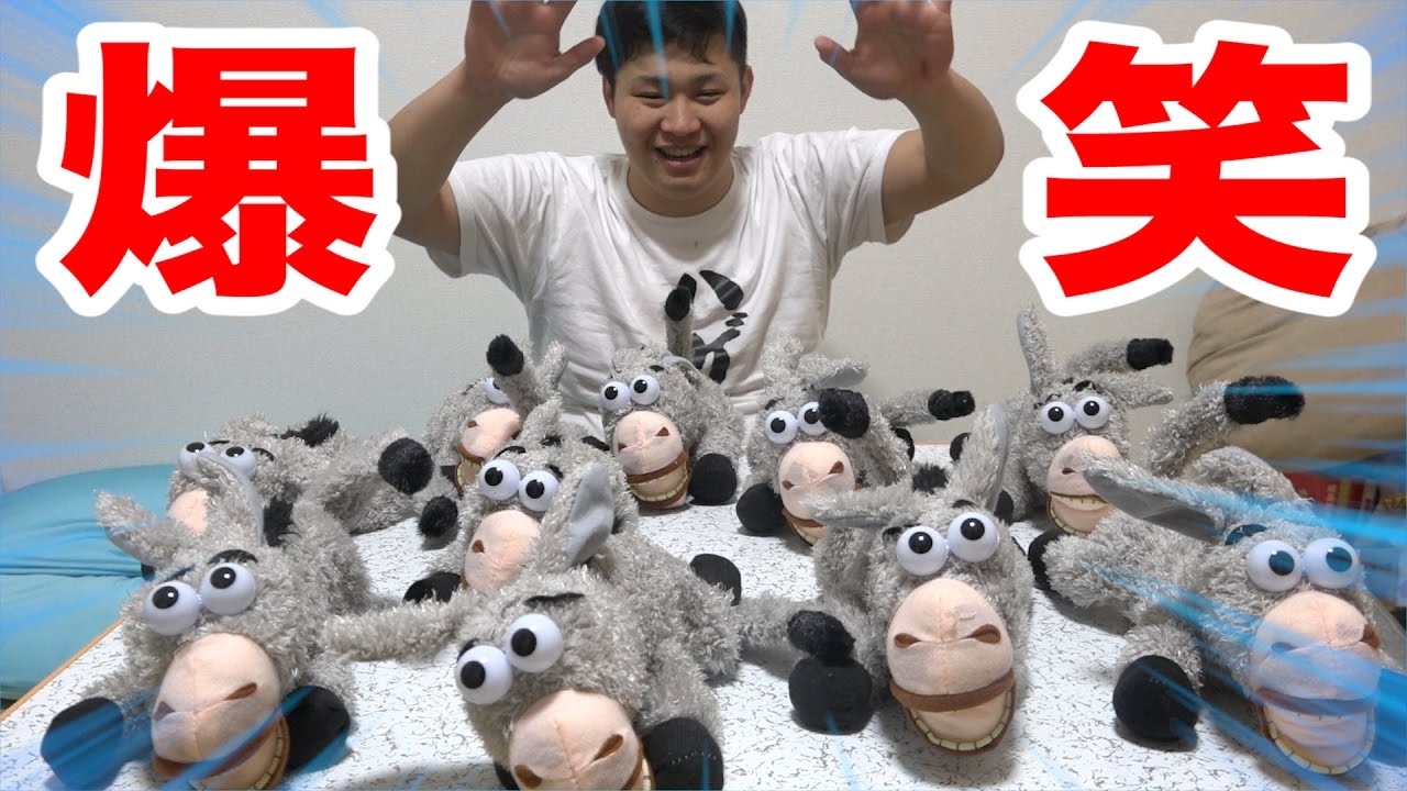 大量の笑い転げるロバが面白すぎて涙出たwww
