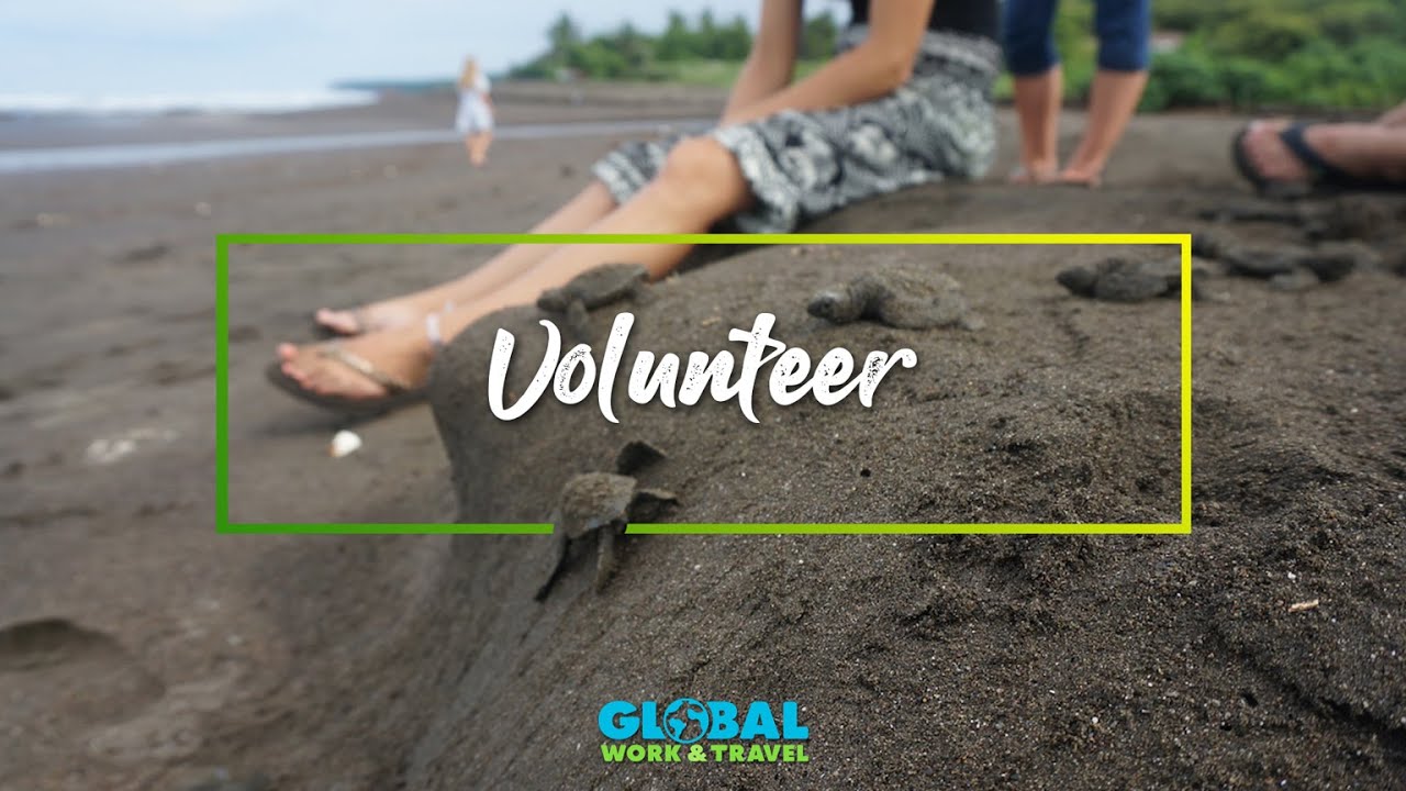 Volunteer with Sea Turtles in Costa Rica - Global Work & Travel
