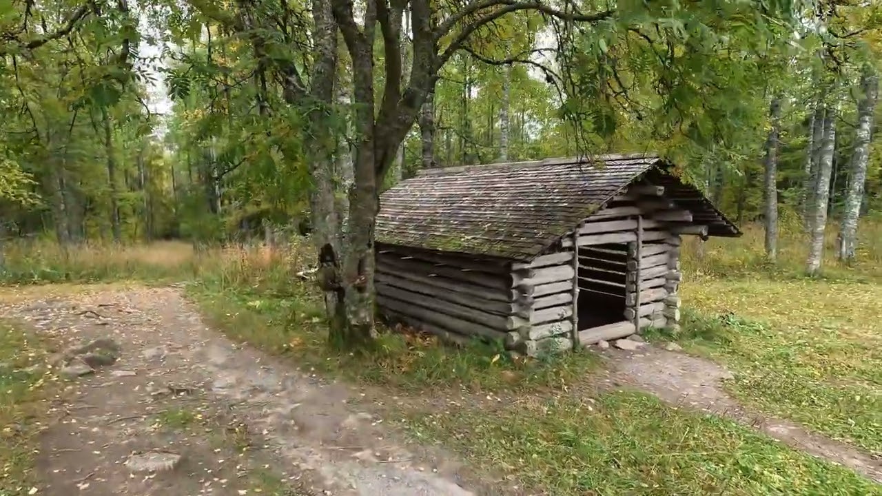 Kolin kansallispuisto 19.9-2022 Tarhapuro ja Mäkrän kierros @KorpiTiimi