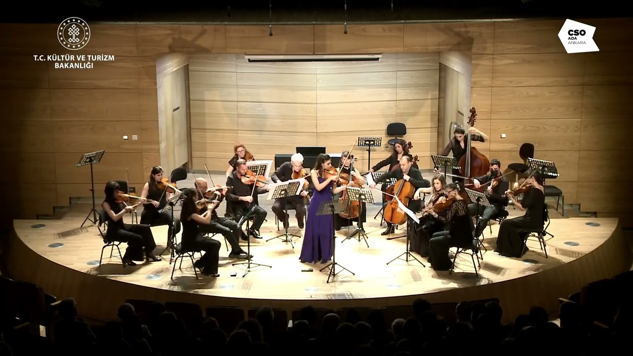 F. Schubert Arpeggione Sonata D.821, Denizsu Polat, viola