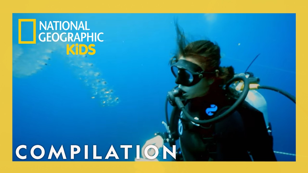 Behind the Scenes with Nat Geo Explorers 🗺️🧭 | You Wanna Be a What?! Compilation | @natgeokids