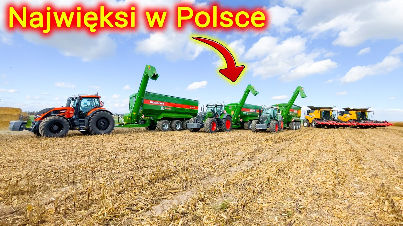 Kupują 50 000 ton kukurydzy 👉Mają 30 ciężarówek 3 przyczepy przeładowcze Bergmann GTW 430 [Korbanek]