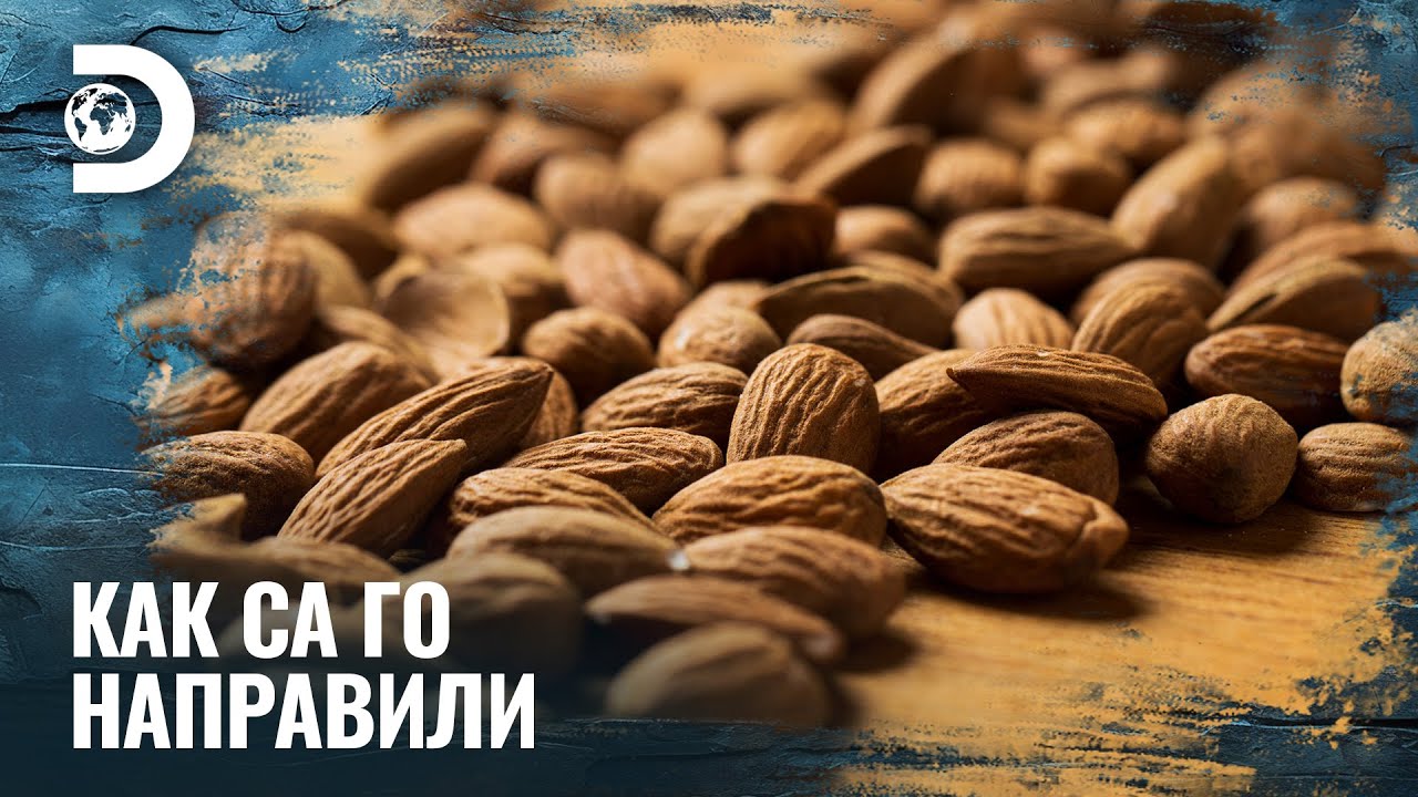 Как се отглеждат бадеми? | Как са го направили?