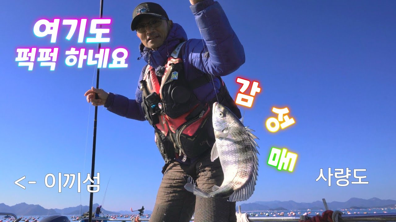 [통영로기] 453회 감성돔이 입주하기 시작했네요 ( 물이 안가도 던지면, 찌가 쪽 ~ )