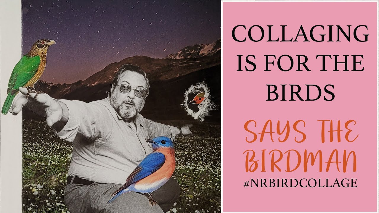Collaging Is For The Birds Challenge - Surreal Collage Art - Collage Making - Collaging