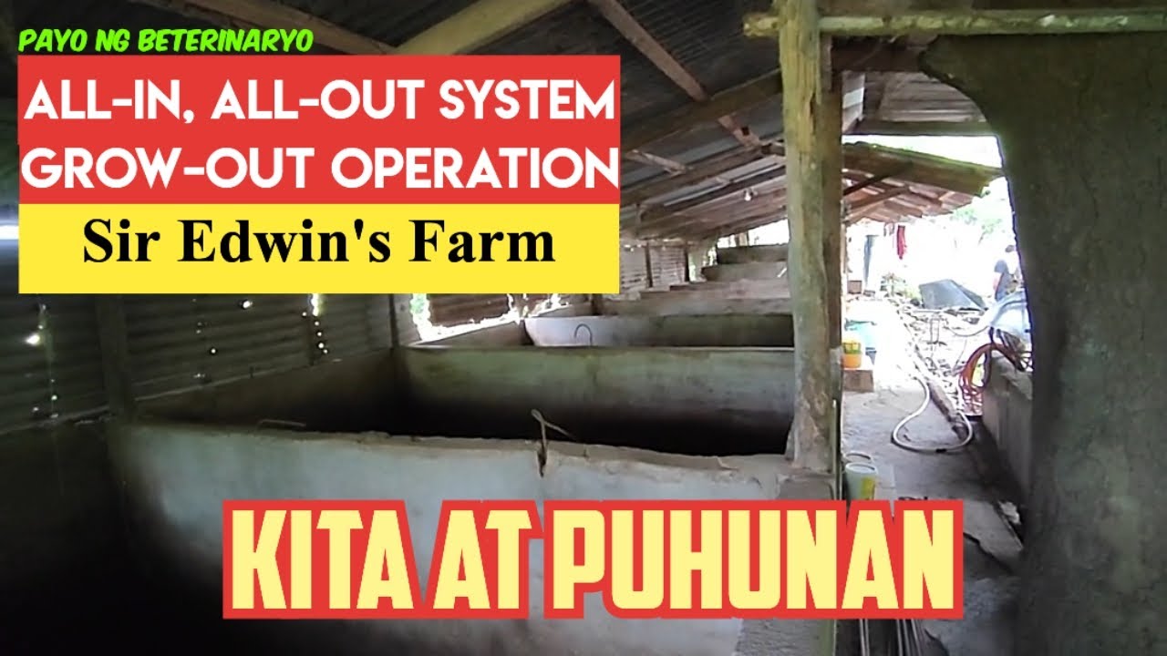Profitability of a  Grow-out Operation | All-in, All-out System