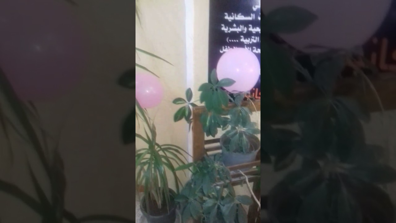 معرض ختام الانشطة بمدرسة 16اكتوبر الاعداديه بنين بالاسماعيلية