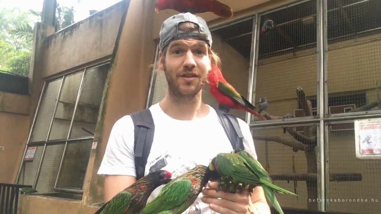 Kuala Lumpur, A LEGSZUPEREBB MADÁRPARKKAL A VILÁGON! (világjárás, 10. rész)