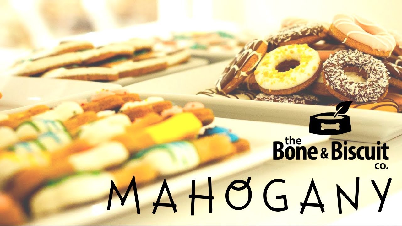 Bone & Biscuit in Mahogany Calgary