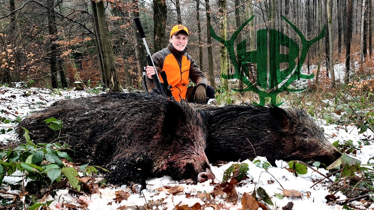 Sauen im Schnee! Dr&uuml;ckjagd mit den Hunter Brothers