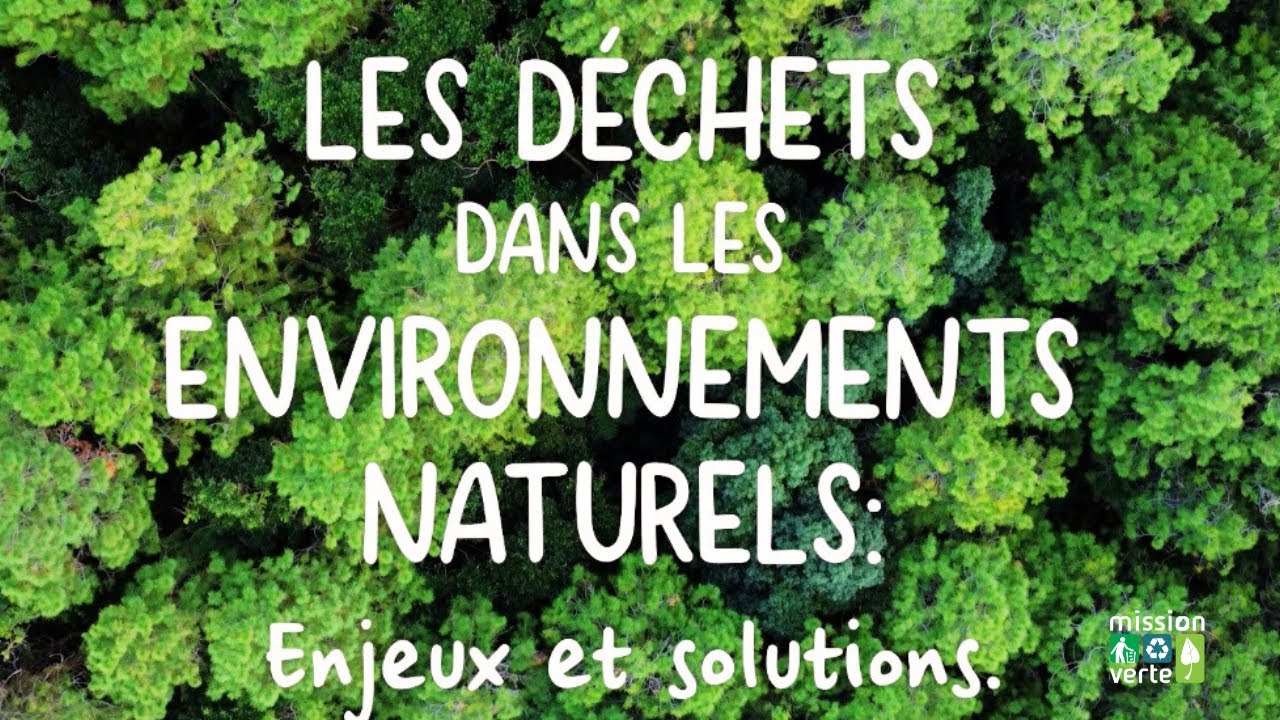Les déchets dans les environnements naturels