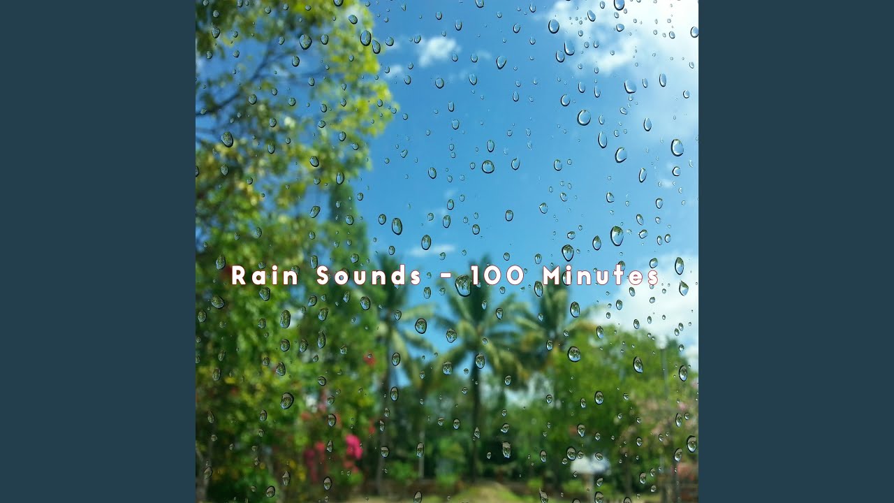 Rainstorm Dreams