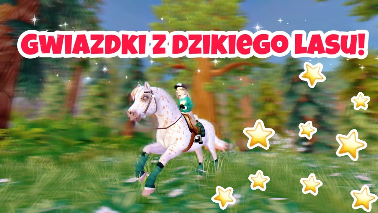 Gwiazdki sso DZIKI LAS/WILD WOODS