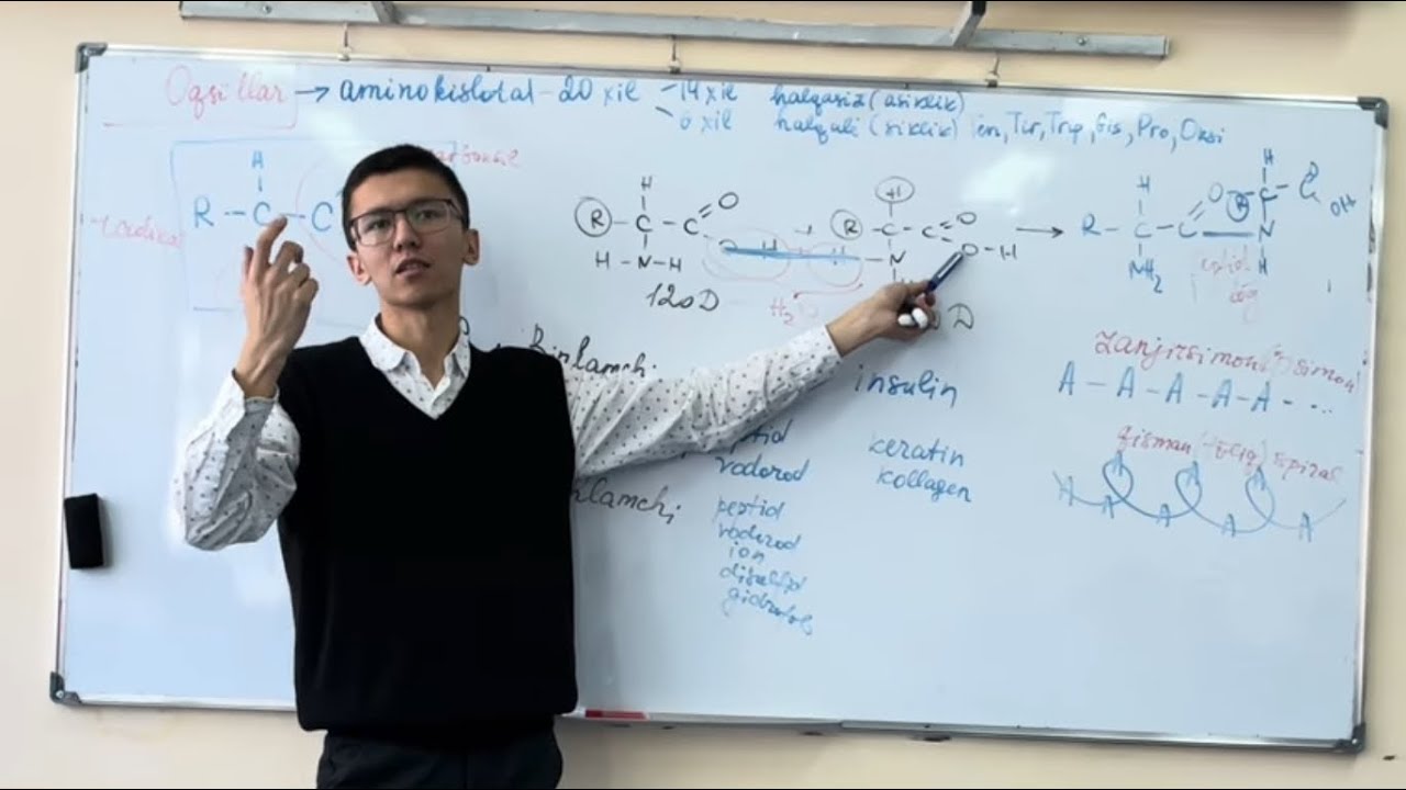 9-sinf. Oqsillarning tuzilishi. Aminokislotalar