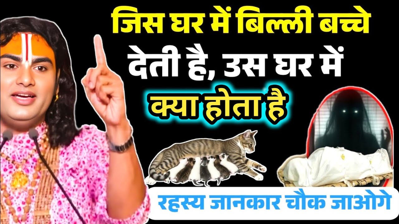 अगर आपके घर में बिल्ली बच्चे देती है तो सावधान हो जाओ – ये सामान्य बात नहीं | Aniruddhacharya Ji