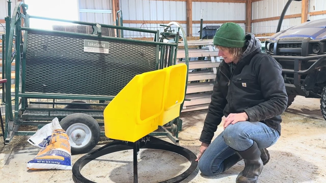 New Mineral Feeder for My Sheep | Improving Pasture Health This Summer