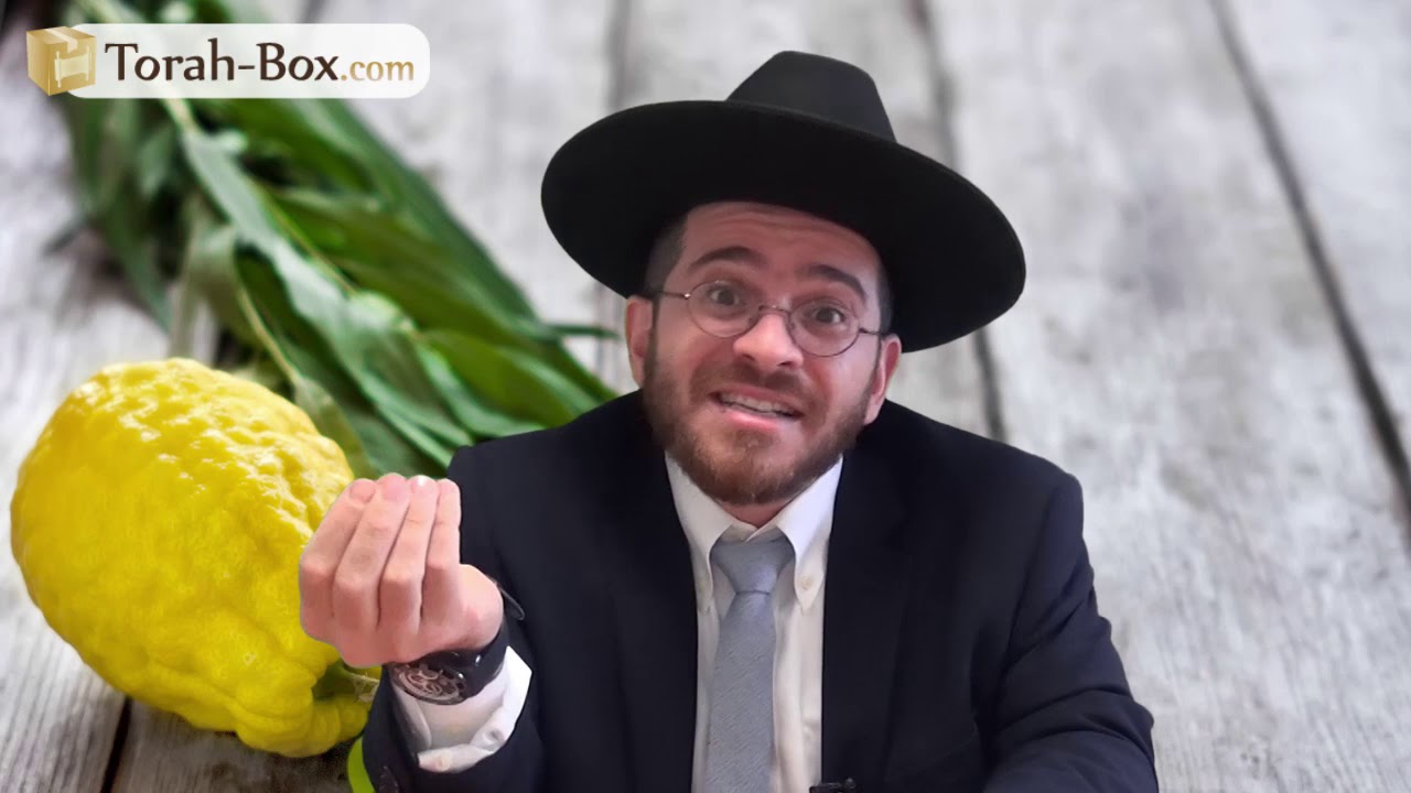La vie nous sourit, alors sourions ! (Rav Rakhamim Ankri)