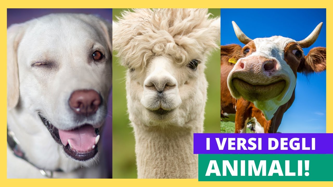 🐮🐷🐔 I Versi Degli Animali della Fattoria per Bambini 🐑🐴