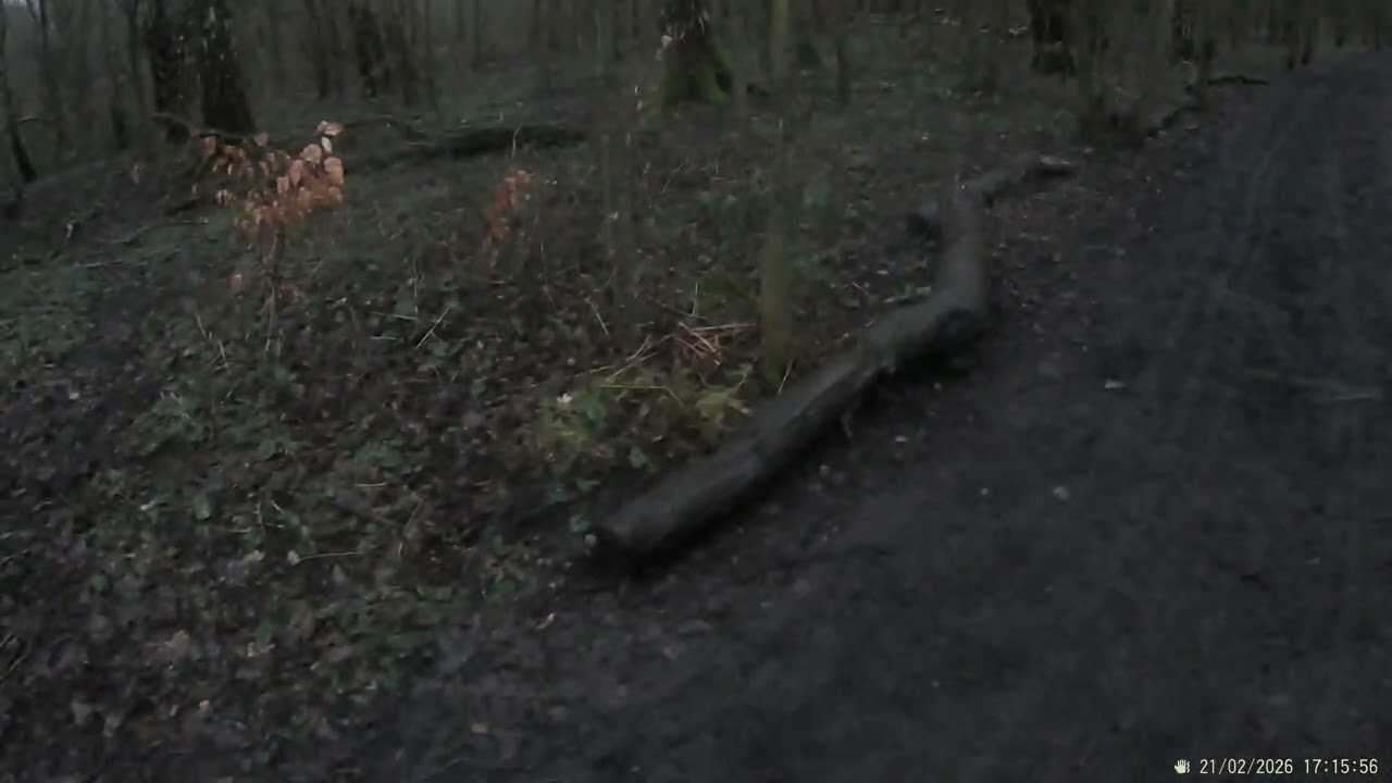 Walkies 21 2 26