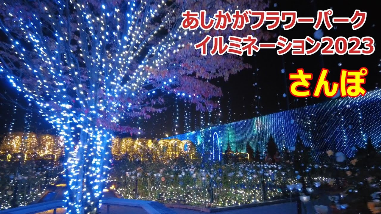 【さんぽ】あしかがフラワーパーク　イルミネーション2023　園内1周さんぽ