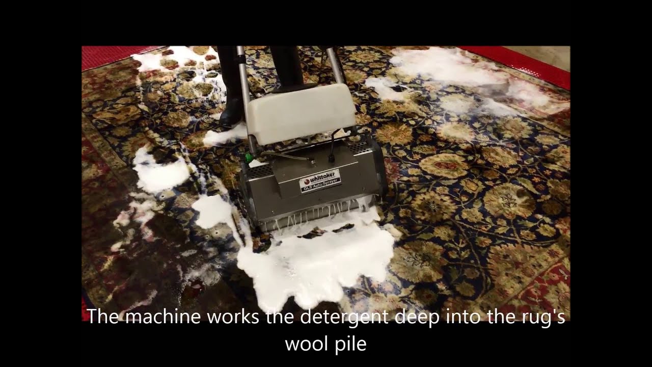 Washing Oriental Rugs Contaminated with Urine