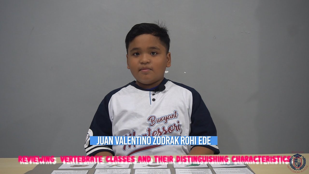 Reviewing  Vertebrate Classes & Their Distinguishing Characteristics Juan Valentino Zodrak Rohi Ede