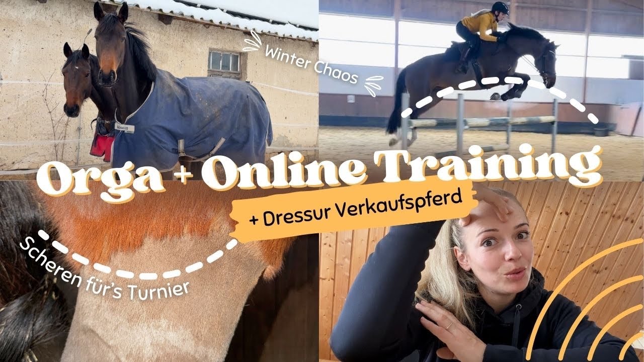 Montag im Reitstall: Orga statt Reiten 😅 | Die Wahrheit hinter den Kulissen | Weekly Vlog #289