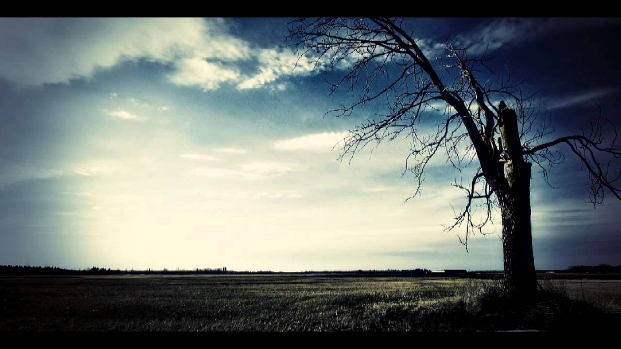 The Presja Trailer Marilliusz & Assal