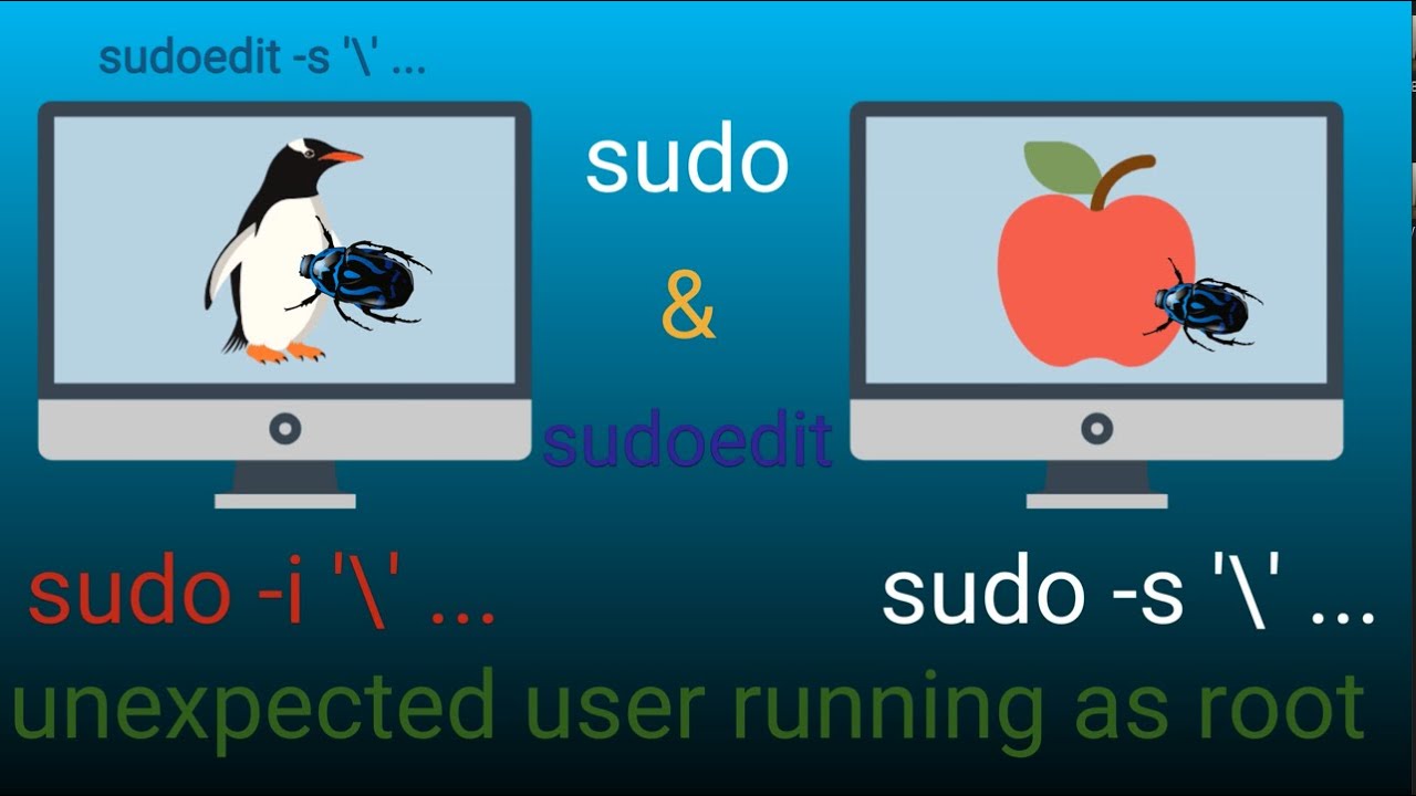 10 yr old sudo bug causes Heap Overflows and Privilege Escalation in unpatched Linux & Unix systems