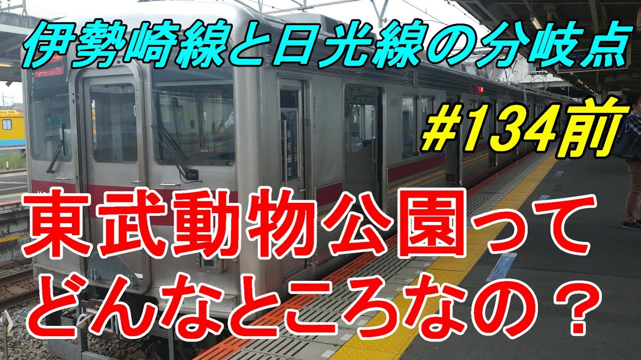【行先探訪134前】よくある行先「東武動物公園」ってどんなところなのかレポートします！（前編）