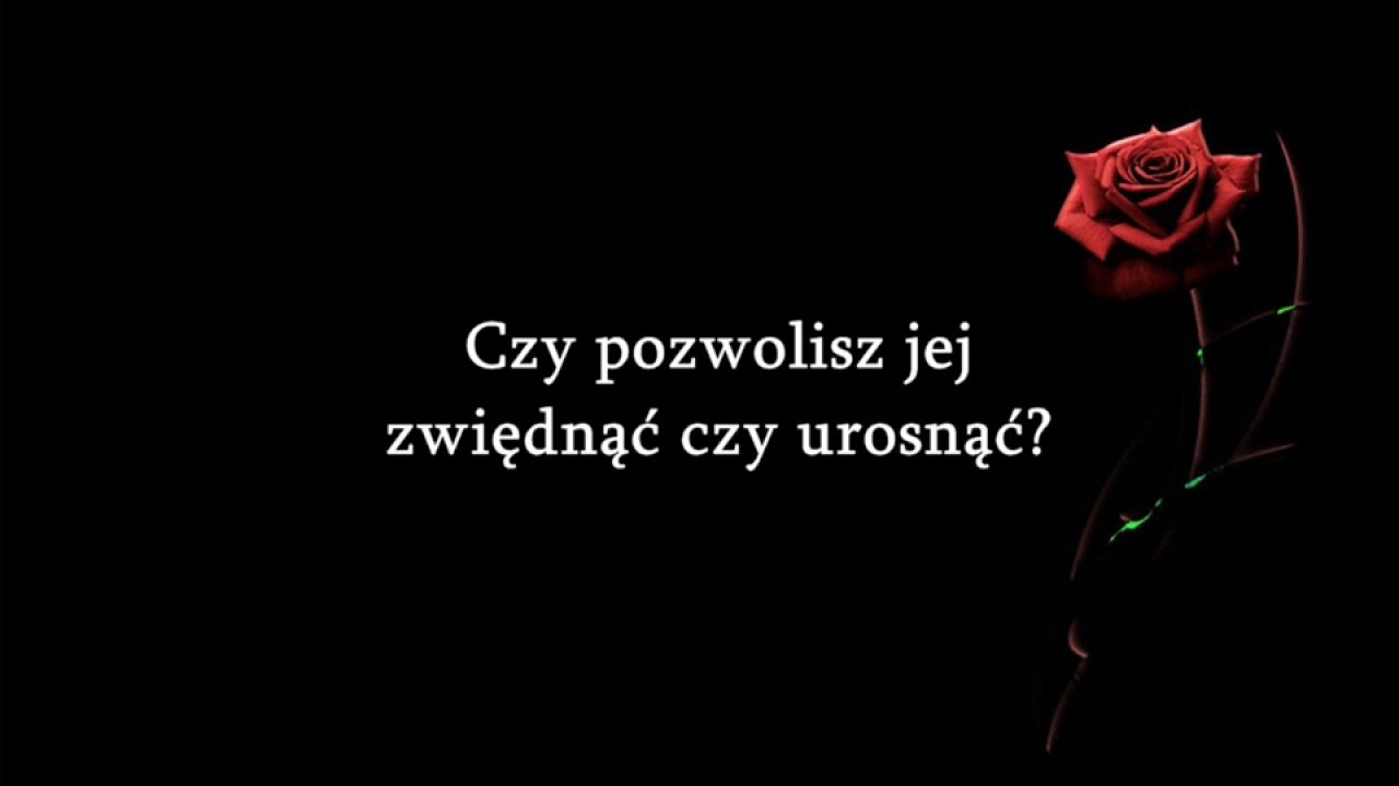 Shawn Mendes - ROSES [Tłumaczenie PL]