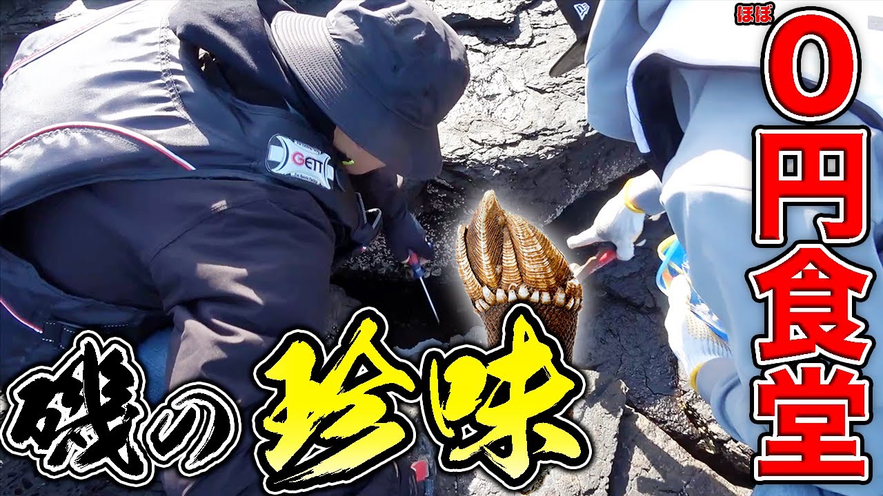 自給自足？！磯の珍味を使った究極の鍋が美味すぎた！！