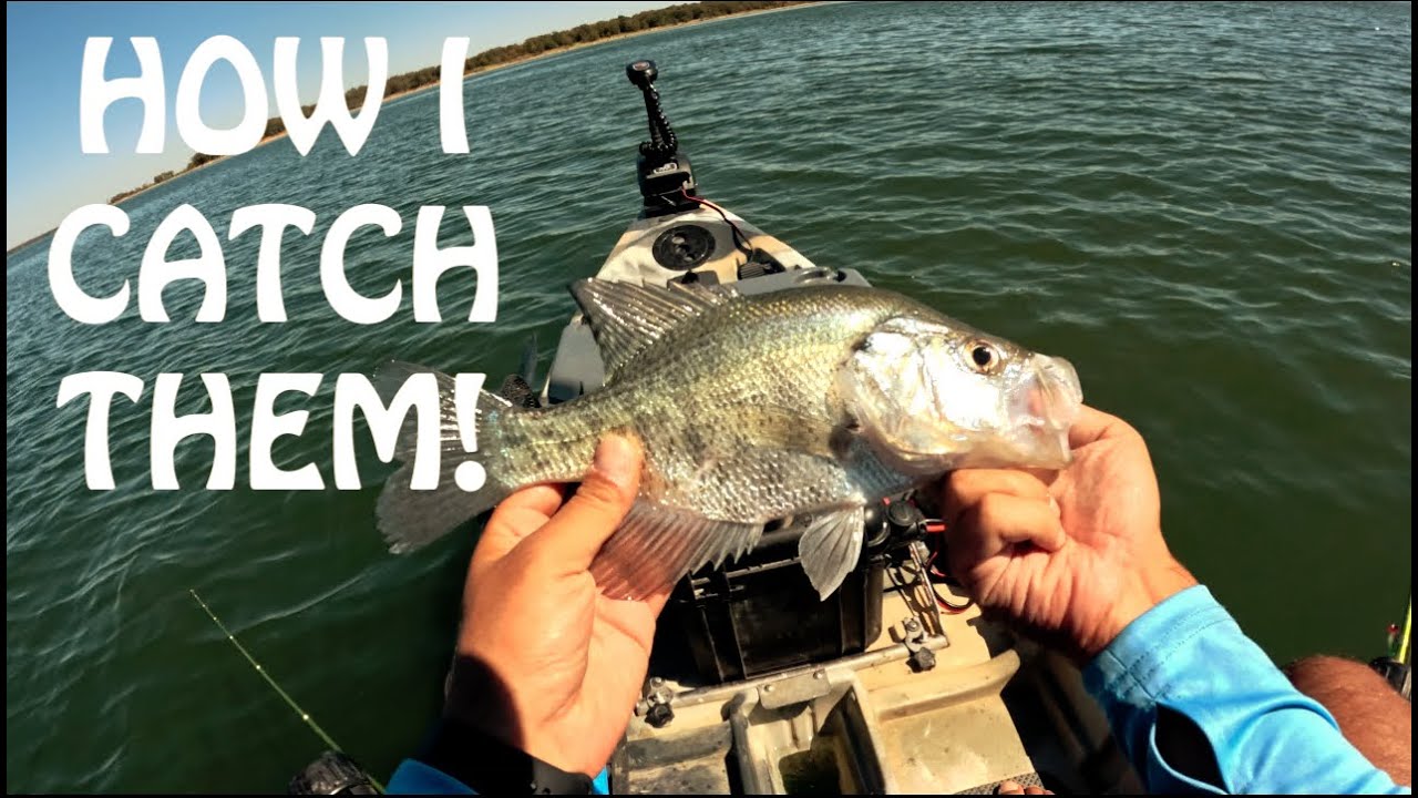Catch more Crappie using this technique! | Lake Ray Roberts Fishing