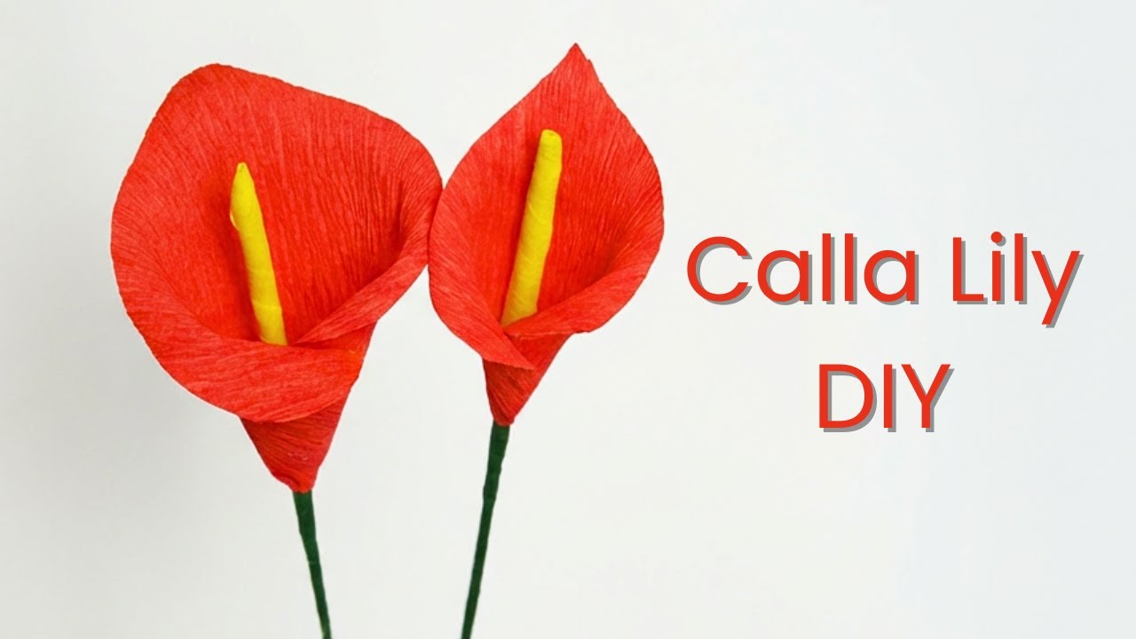 How To Make Calla Lily Paper Flower From Crepe Paper