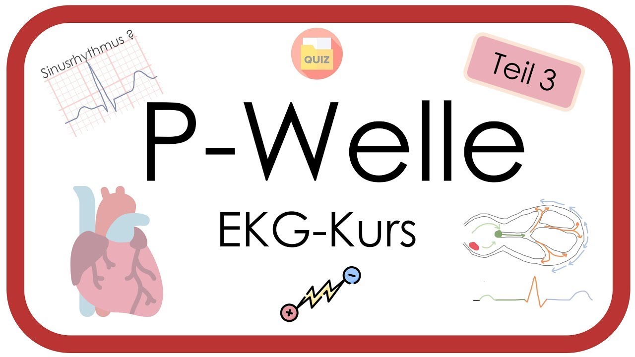 EKG - P-Welle (Sinusrhythmus, SA-Block, P-Pulmonale, P-Mitrale, P-Bitrale incl. Quiz) EKG-Kurs