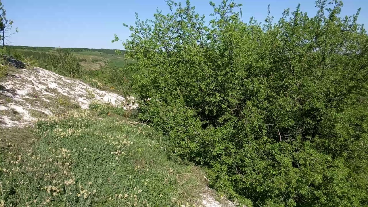Вид в сторону Волчанских Хуторов с меловой горы  в Зыбино