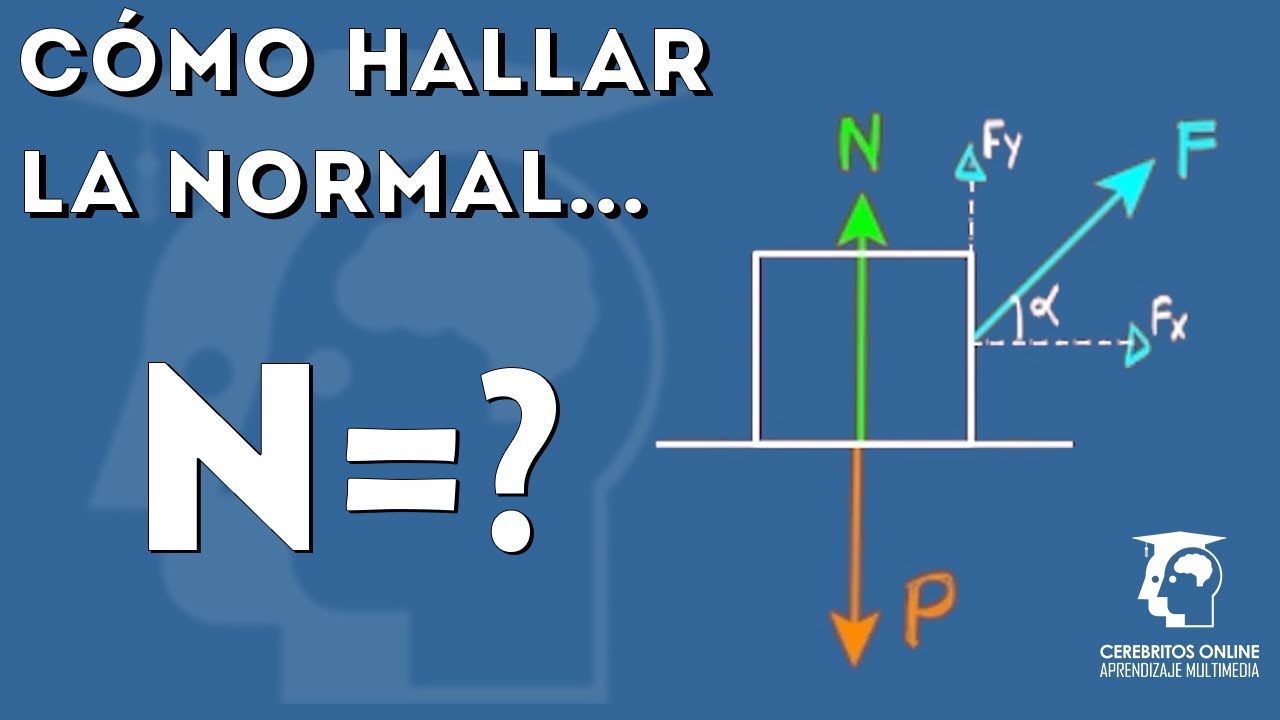 TEORIA / Din&aacute;mica: &iquest;C&oacute;mo calcular la fuerza normal? Casos mas frecuentes