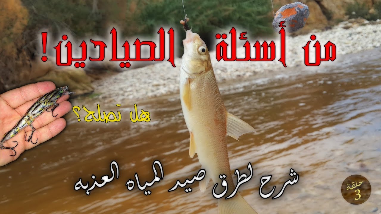 أفضل مونتاج لصيد أسماك المياه العذبه - نصف ساعه صيد مع سام سند حلقة 3