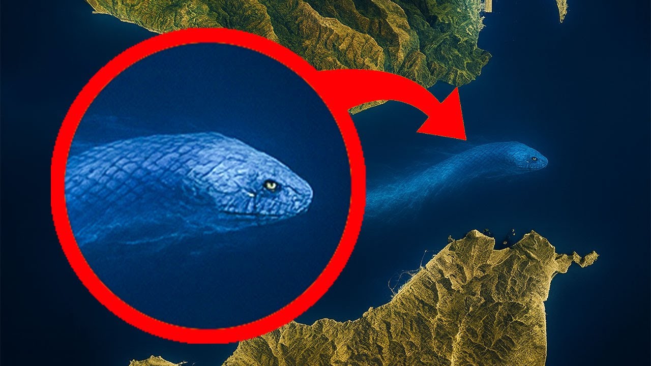 Avrupa ile Afrika Arasına Neden Bir Köprü Yapılmıyor?
