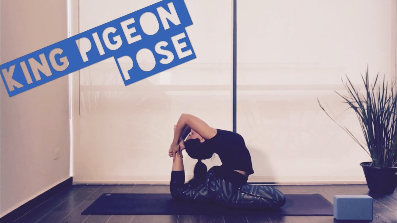 II. Yoga: King pigeon pose ( RAJAKAPOTASANA)