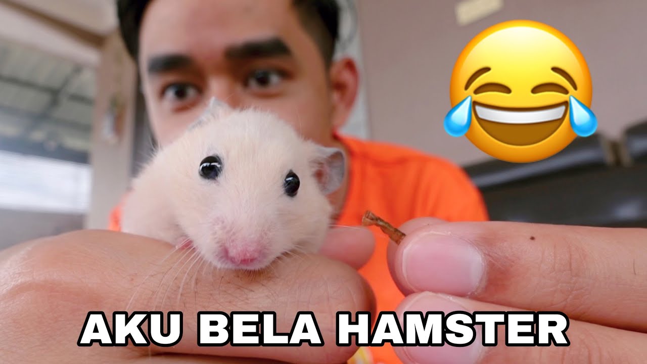 AKU BELA HAMSTER 😂 BAGI MAKAN CACING 😱