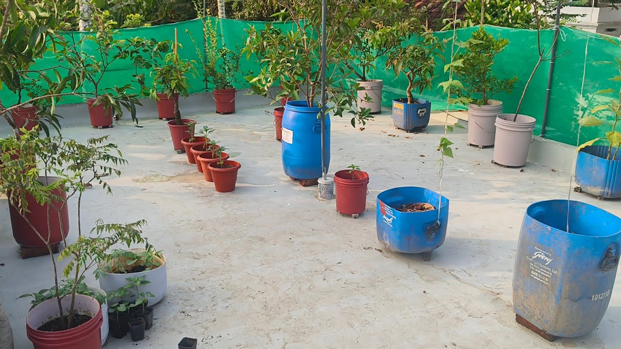 How to start an terrace garden /എങ്ങനെ ഒരു ചെറിയ മട്ടുപ്പാവ് കൃഷി സെറ്റ് ചെയ്യാം.