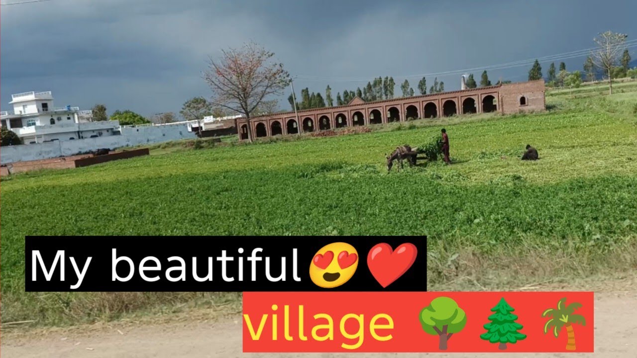 My beautiful❤ villages/Ramadan day🌙💫 26#dailyroutine #pakistan #rajabfamily #family #foryou #viral #