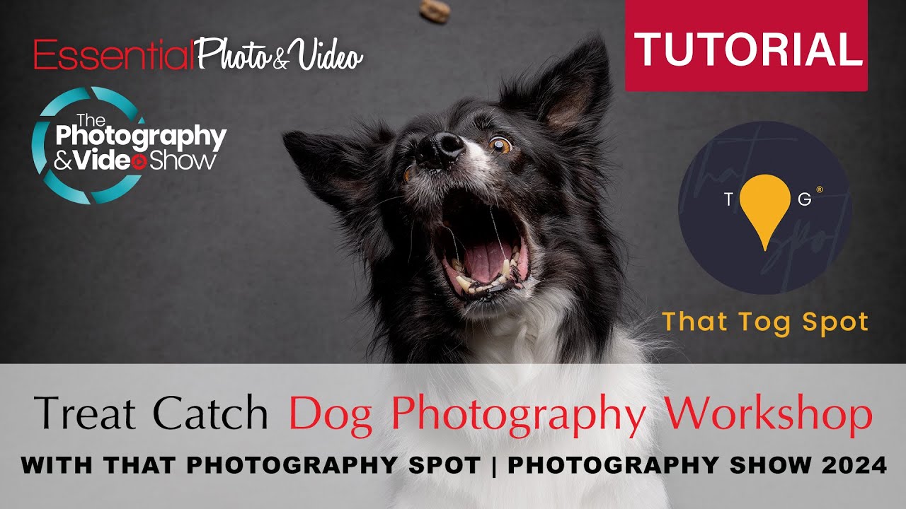 That Photography Spot - Treat Catch Dog Photography | Photography Show 2024 with EPV