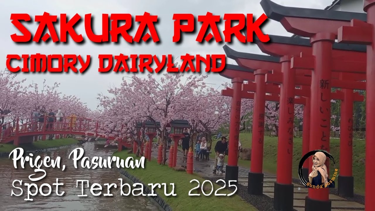 SAKURA PARK CIMORY DAIRYLAND PRIGEN || SPOT TERBARU 2025
