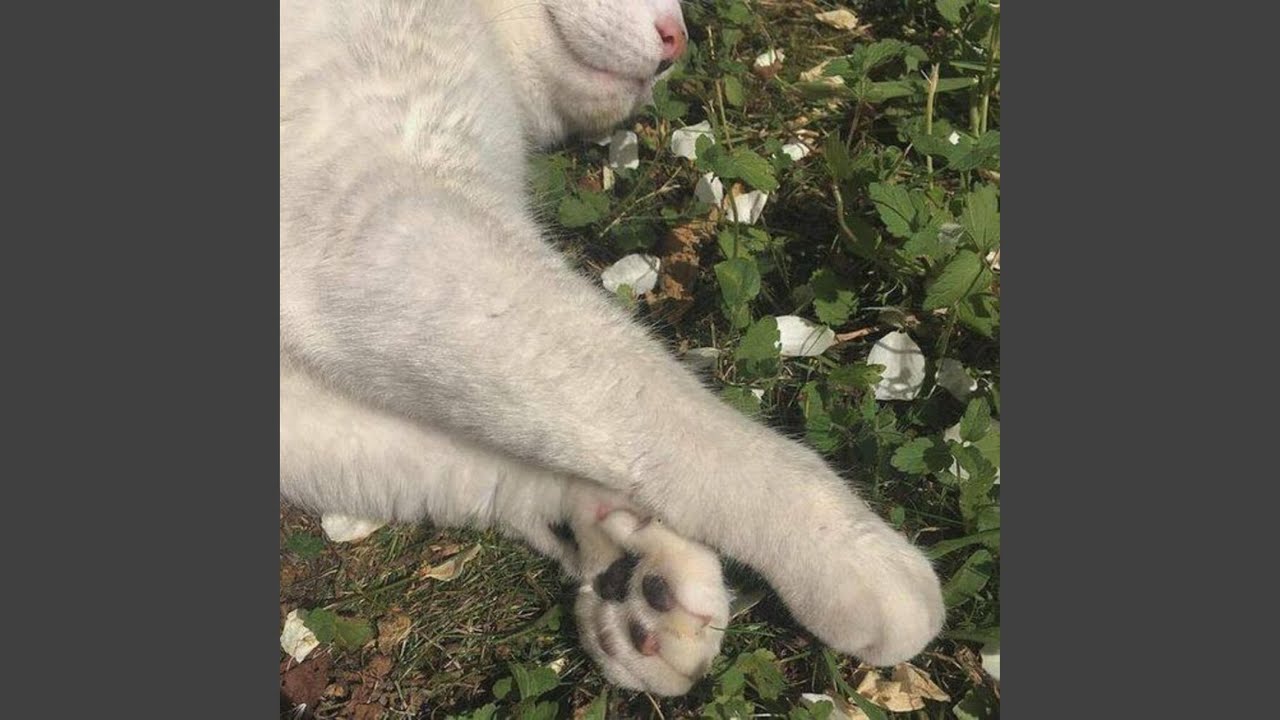 Warm Cuteness