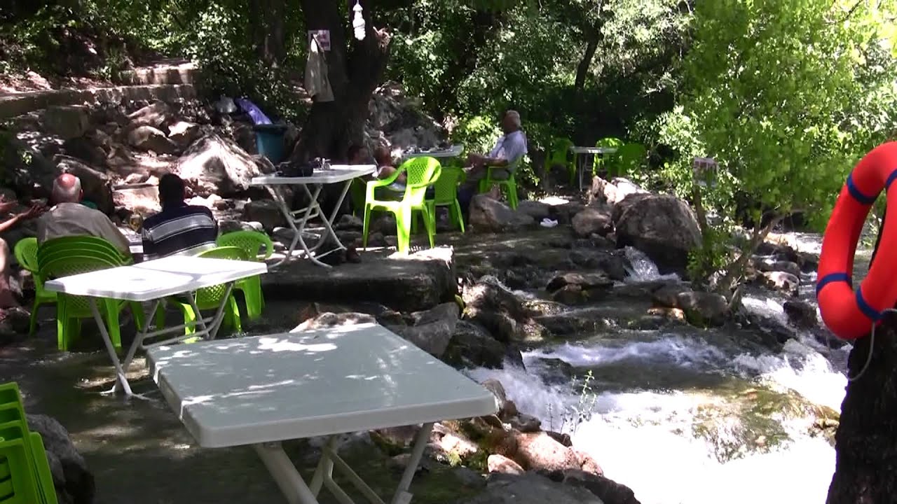 Dersim halbori gözeleri