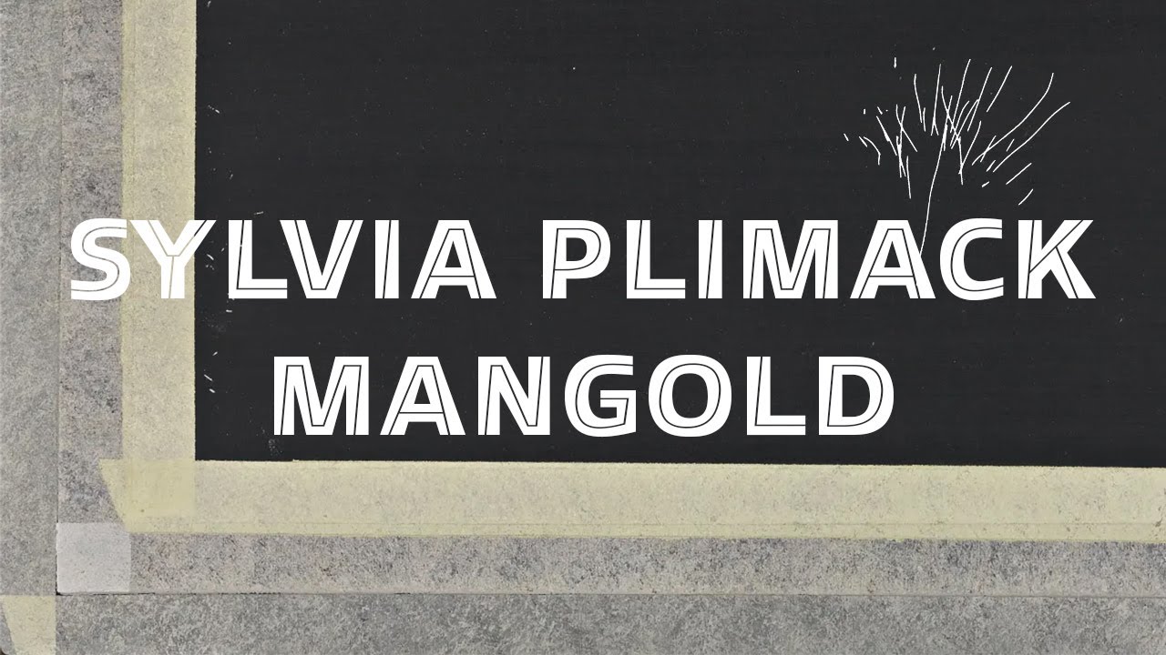 Sylvia Plimack Mangold: Discreet Paintings