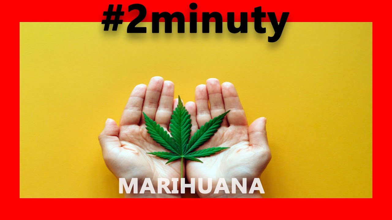 ako funguje MARIHUANA? | #2minuty